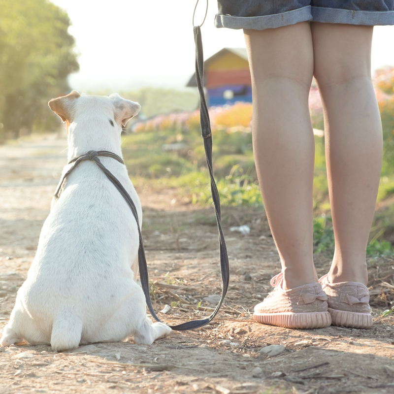 Motiv Work-Life-Balance, design+technik Klose, Gelnhausen